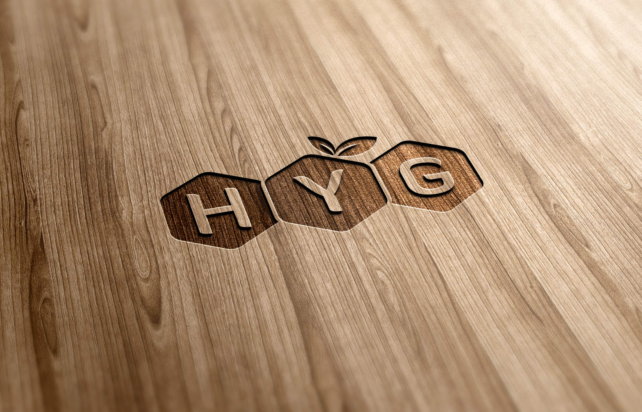 Thiết kế logo nông sản sạch HYG tại Hà Nội